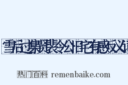 雪后过集贤裴令公旧宅有感反义词是什么意思的图片